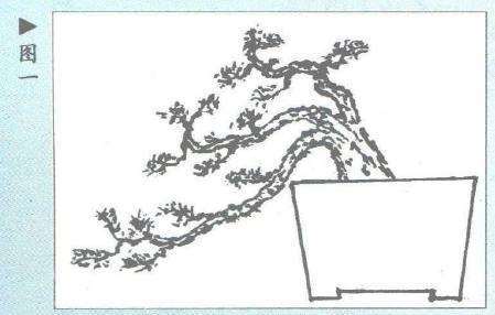 图解 雷宁怎么设计临水式虾夷松盆景的2个方法