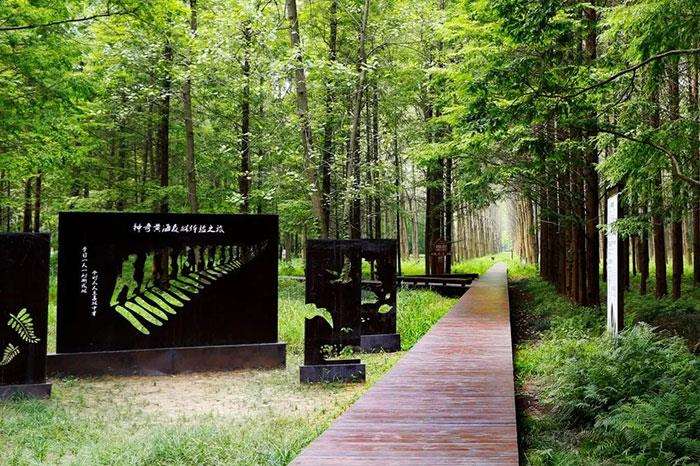 森林公园旅游资源开发的3个意义