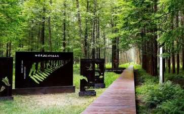 森林公园旅游资源开发的3个意义