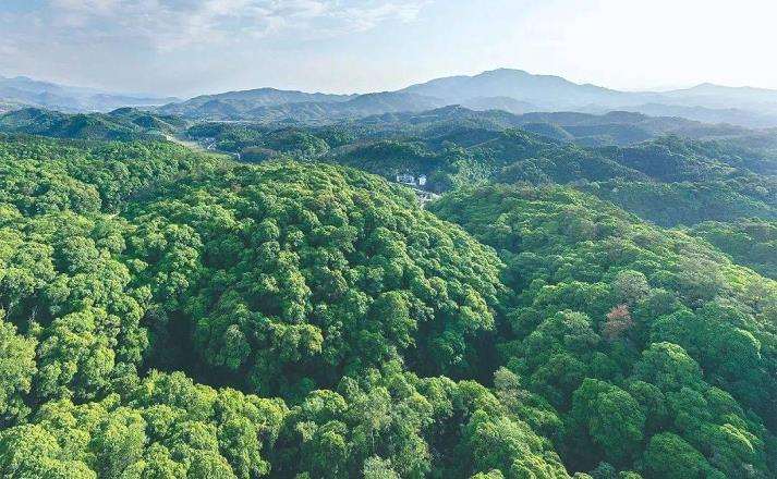 日本森林松虫发生的基本情况和控制方法