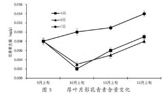 不同温差对2种景天科多肉植物花青素含量的影响