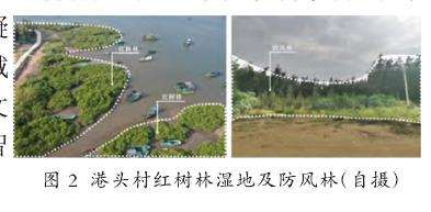 地域文化视角下的湛江港头公共空间场景营造