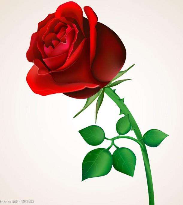 芳香植物玫瑰在高职学生中的4个应用