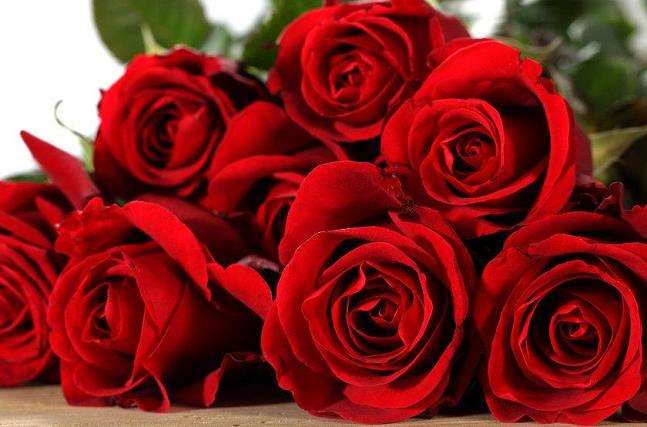 芳香植物玫瑰在高职学生中的4个应用