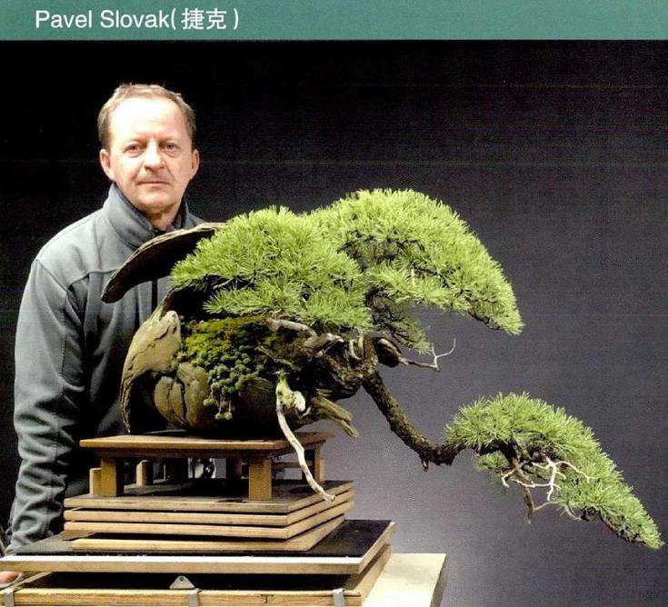 捷克知名青年盆景艺术家 Pavel Slovav