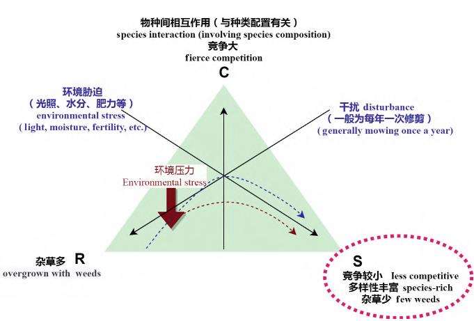 CSR理论与草花混播群落构建