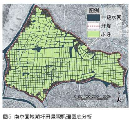 固城湖圩田肌理量化解译体系构建