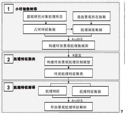 固城湖圩田肌理量化解译体系构建