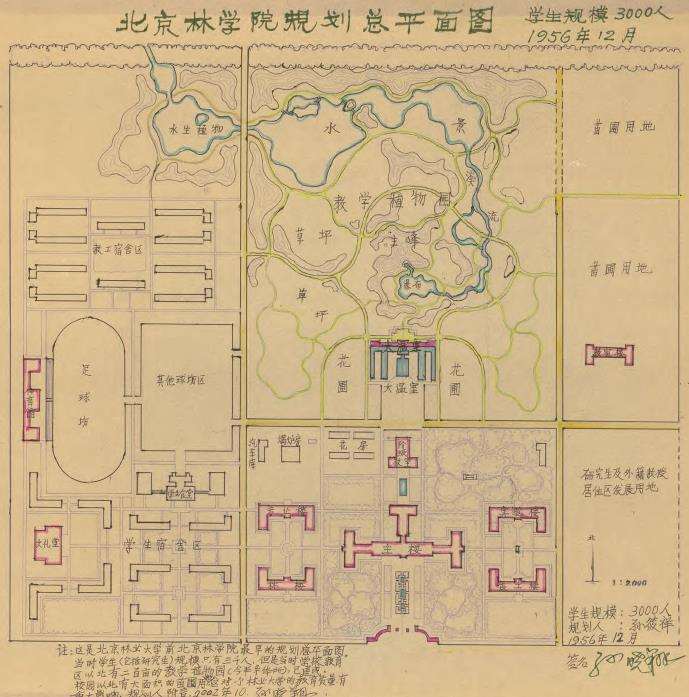 50年代的北京林业大学教学植物园