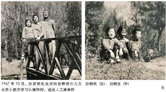50年代的北京林业大学教学植物园