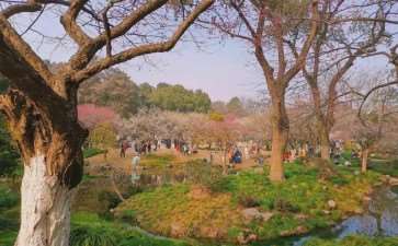 杭州植物园未来发展的5个思路