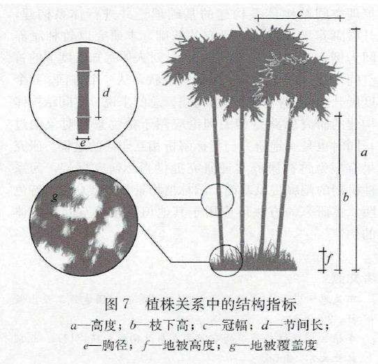 竹林康养空间结构体系怎么构建的3个方法