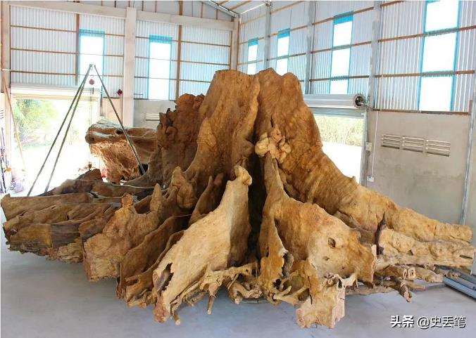 有人1万元购买了30吨的老树根做成根雕