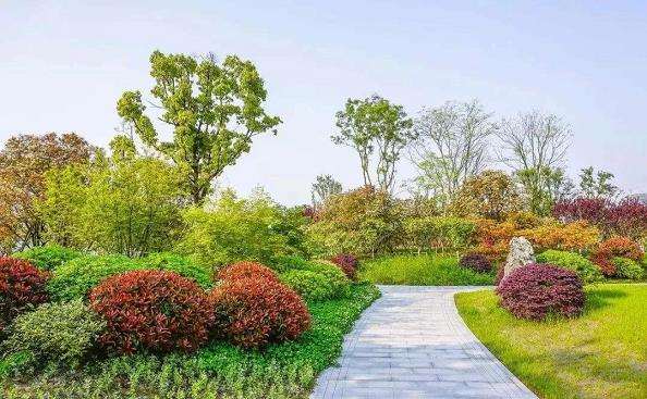 上海辰山植物园对城市植物多样性的支持作用
