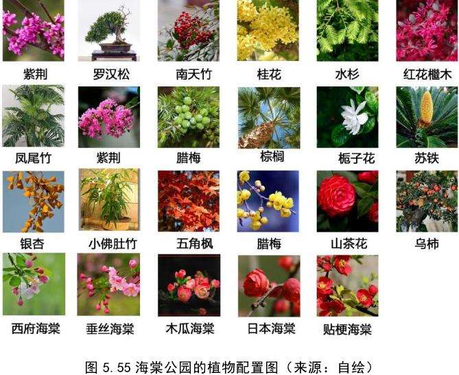 都江堰青城山镇海棠公园的3个植物配置