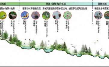 三峡水库澎溪河消落带鸟类生境修复技术框架