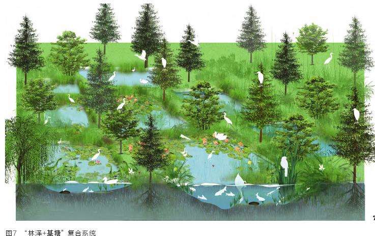 三峡水库澎溪河消落带鸟类生境修复技术框架