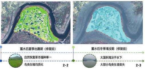 三峡水库澎溪河鸟类群落研究区域的3个概况