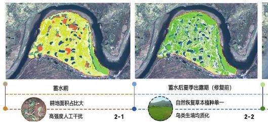 三峡水库澎溪河鸟类群落研究区域的3个概况