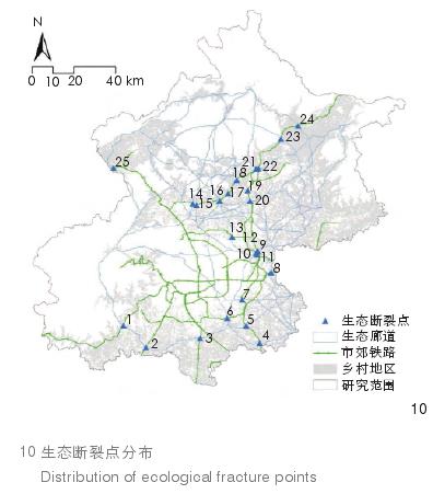 北京乡村地区鸟类栖息地连通性的3个优化建议