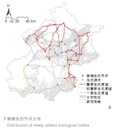 北京乡村地区鸟类栖息地连通性的3个优化建议