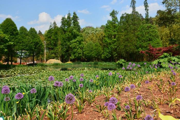 中国植物园植物多样性保护功能的4个特征
