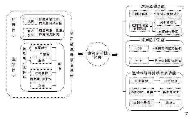 海口三江湾红树林湿地的5个多功能耦合设计