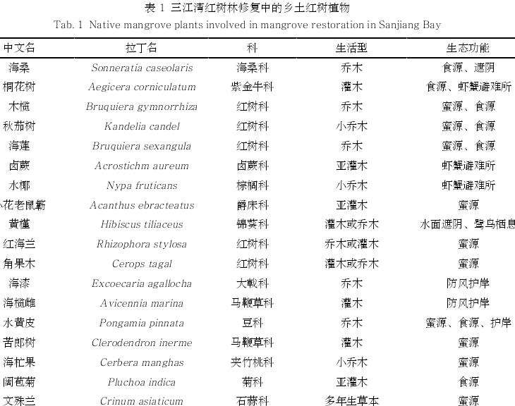 海口三江湾红树林湿地怎么设计的3个技术框架