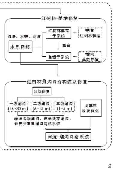 海口三江湾红树林湿地怎么设计的3个技术框架