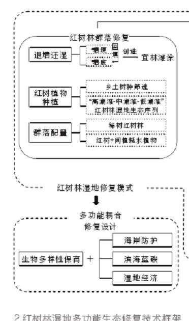 海口三江湾红树林湿地怎么设计的3个技术框架