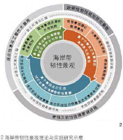 中国海岸带韧性景观的3个研究概况