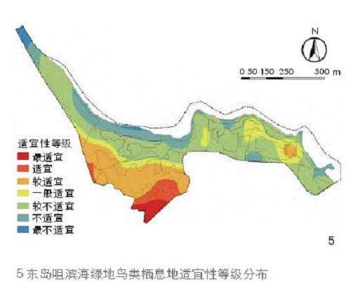 烟台东岛咀滨海绿地鸟类多样性的3个特征