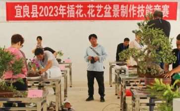 2023年6月 第十届云南省端午节盆景展