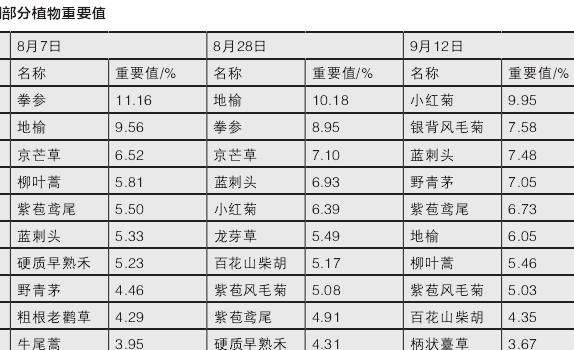 自然草甸的季相变化