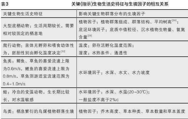 基于河流时间维度的3个生境修复策略