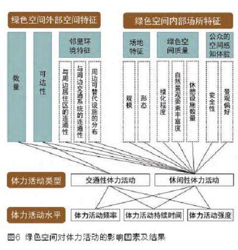 影响体力活动的3个绿色空间要素