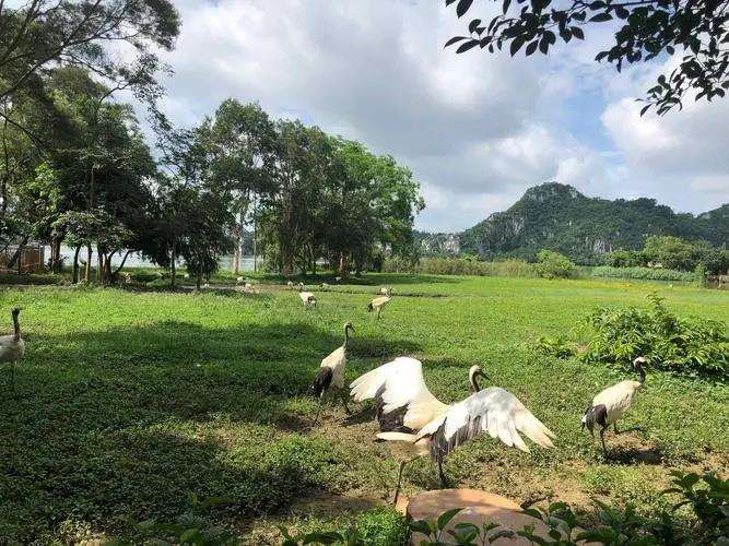 广东省域湿地退化风险评价研究