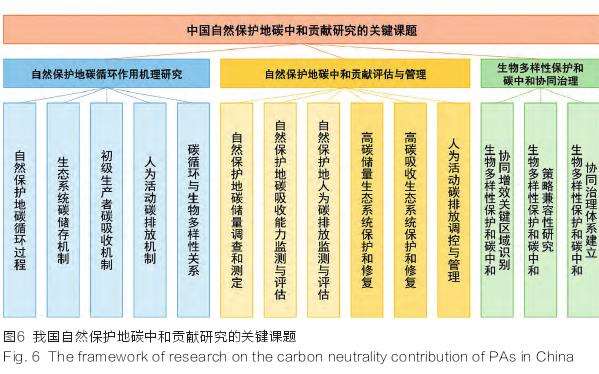 中国自然保护地碳中和贡献研究的关键课题