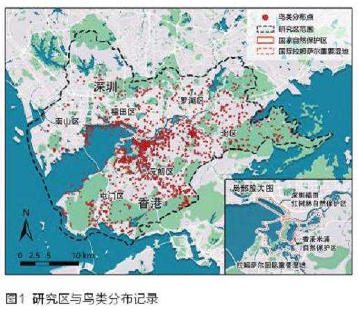 深圳湾鸟类热点生境判别及修复研究