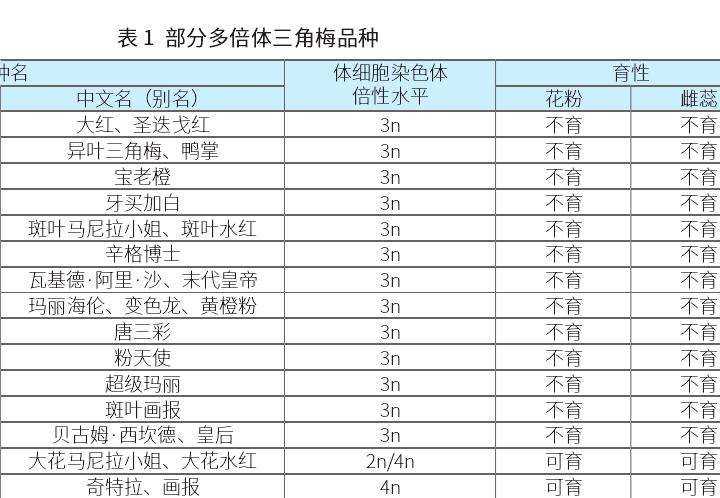 三角梅怎么育种的3个亲本选择与创制