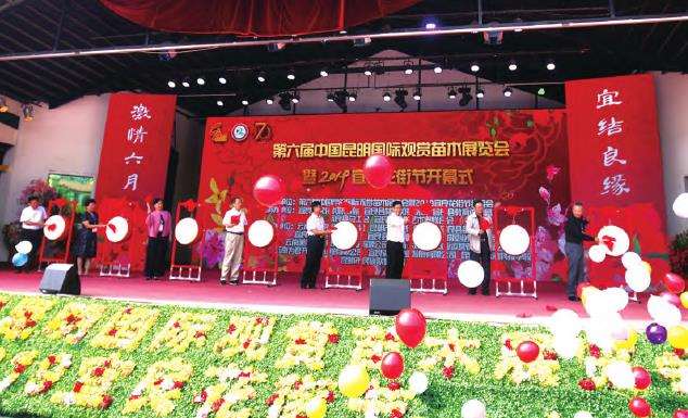 云南花卉文化建设与区域文化经济发展
