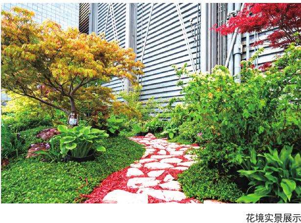中国国际花卉园艺展览会在上海举办
