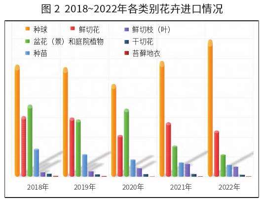 2022年花卉进出口增长创新高