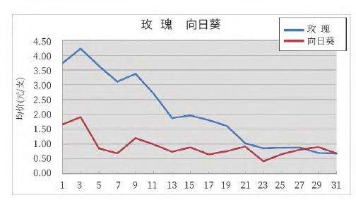 昆明KIFA花卉拍卖交易行情