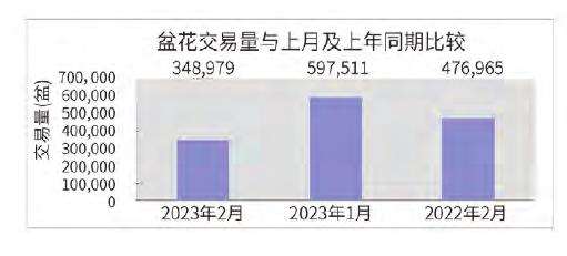 2023年2月台北花卉市场盆花行情