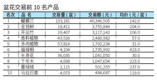 2023年2月台北花卉市场盆花行情