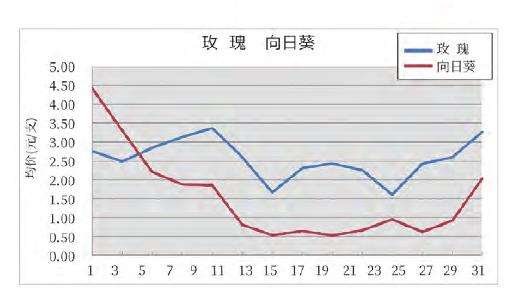 2023年2月昆明KIFA花卉拍卖交易行情