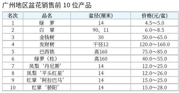 广州花卉市场 小盆栽销售较好