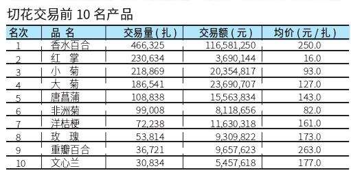 台北花卉市场切花行情