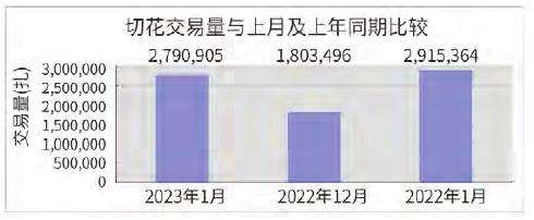 台北花卉市场切花行情